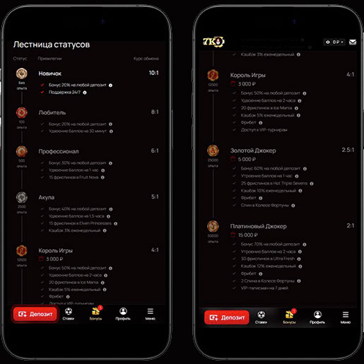 Программа лояльности